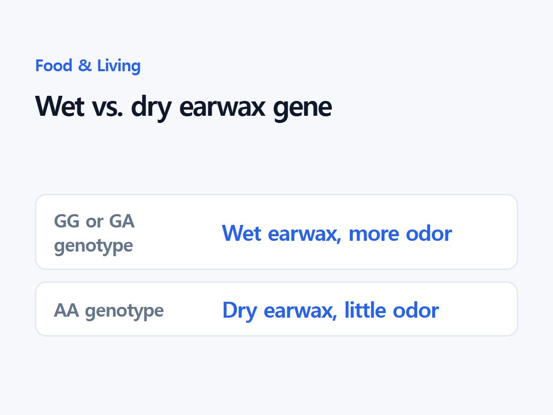 Wet vs. dry earwax gene