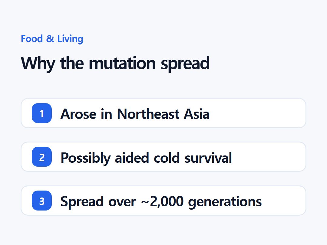 Why the mutation spread