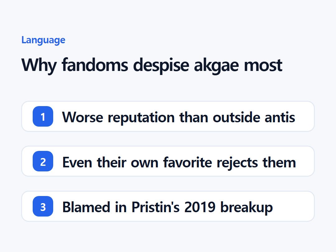 Why fandoms despise akgae most