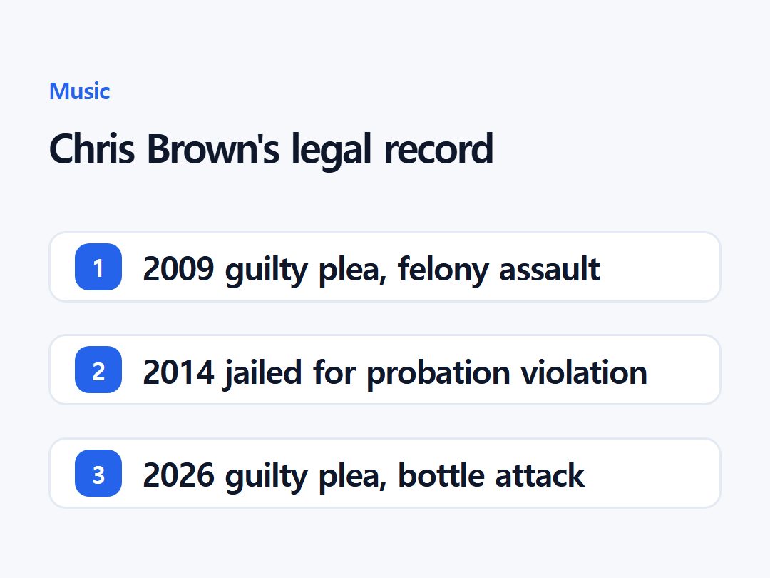 Chris Brown's legal record