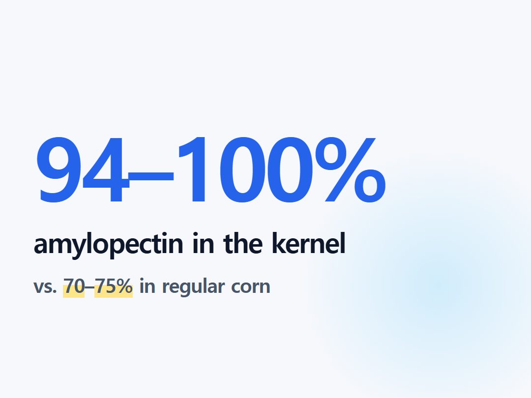 amylopectin in the kernel