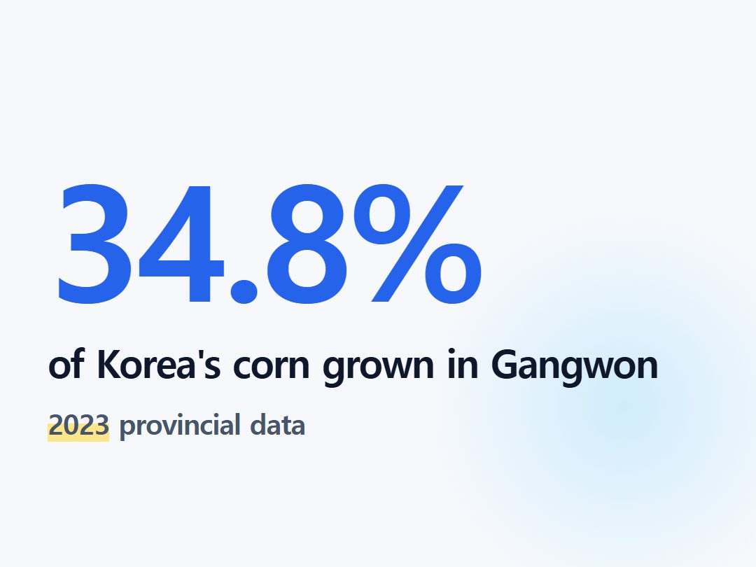 of Korea's corn grown in Gangwon